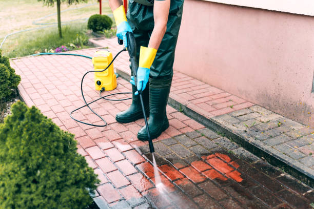 Best Dumpster Area Cleaning  in Tawas City, MI