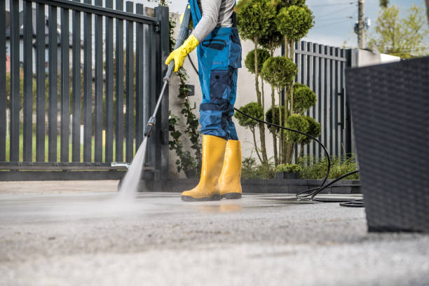 Boat and Dock Cleaning in Tawas City, MI